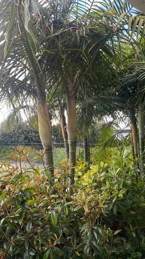 Te Whare Ma Bed & Breakfast Kerikeri Bagian luar foto